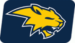 Neuqua Valley High School mascot