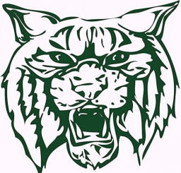 North Western High School mascot