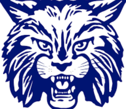 Phillips High School mascot