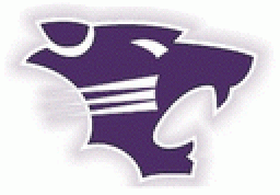 Wilmington High School mascot