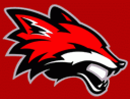 Yorkville High School mascot