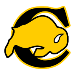 Caliche High School mascot