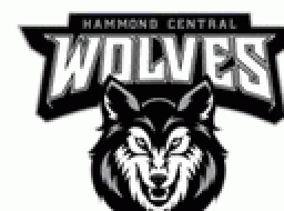 Hammond High School mascot