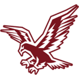 Natomas High School mascot