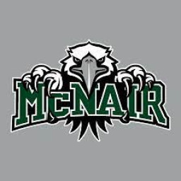 Ronald E McNair High School mascot