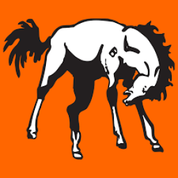 Billings Senior High School mascot