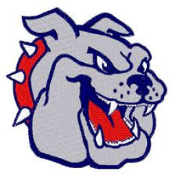 Carter County High School mascot