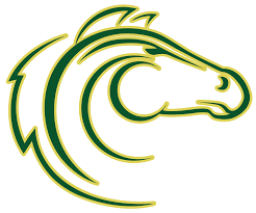 Colstrip High School mascot