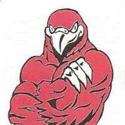 Fromberg High School mascot