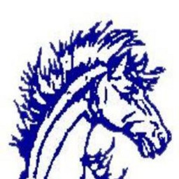 Malta High School mascot