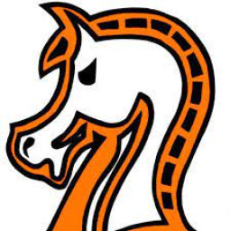 Plains High School mascot