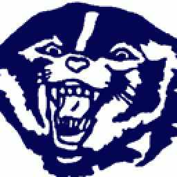 White River Valley High School mascot
