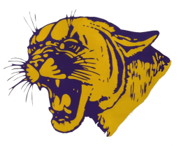 Plevna High School mascot