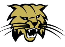 F W Buchholz High School mascot