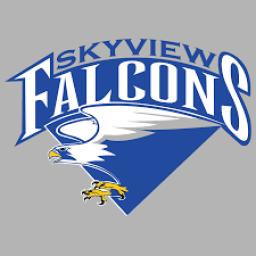 Skyview High School mascot