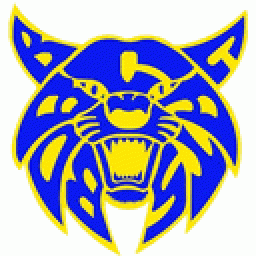 Benton Community High School mascot