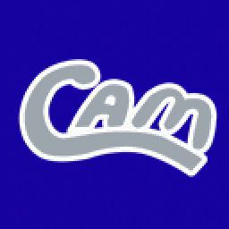 Cam High School mascot