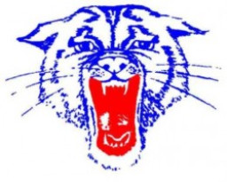 Douglas High School mascot