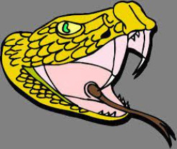 Little Snake River Valley High School mascot