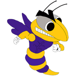 Pine Bluffs High School mascot