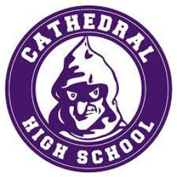 Cathedral High School mascot