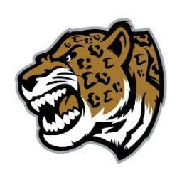 Bethel High School mascot