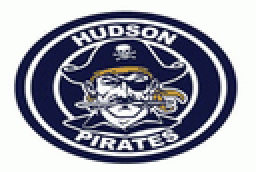 Hudson High School mascot