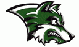 Manning High School mascot