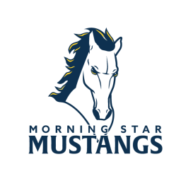 Morning Star Academy mascot