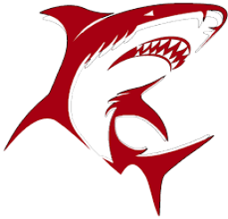 Oceana High School mascot