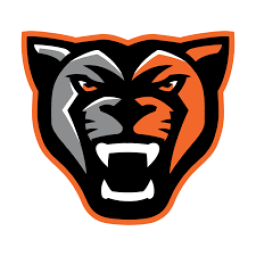 Orange High School mascot