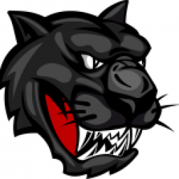 Riceville High School mascot