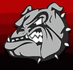 Anderson County High School mascot