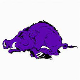 Walhalla High School mascot