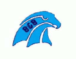 B & B High School mascot