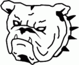 Baldwin High School mascot