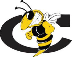 Cook High School mascot