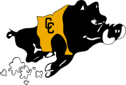 Colquitt County High School mascot