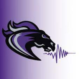 Ridge View High School mascot