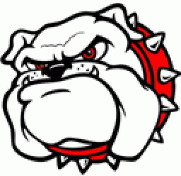 Wyandotte High School mascot