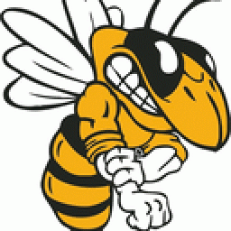 Central High School mascot