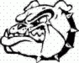 Clinton County High School mascot