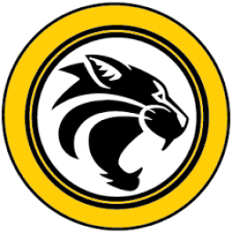 Richmond Hill High School mascot