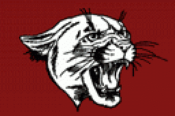 McLean County High School mascot