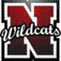 Newport High School mascot