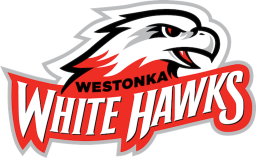 Mound Westonka High School mascot