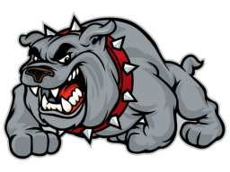 Gainesville High School mascot