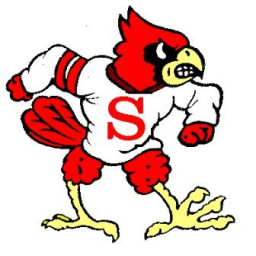 Stewartsville High School mascot