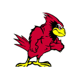 Benton High School mascot