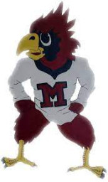 Mercer High School mascot